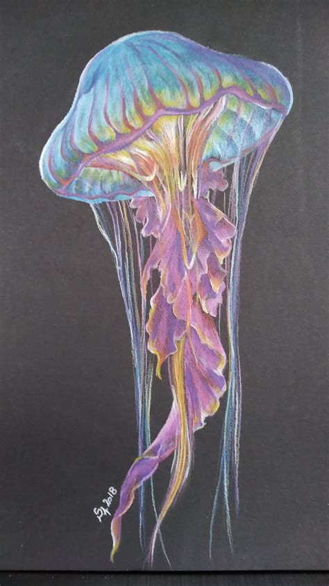 Pin By Tamaki Kaizuka On Jellyfish Moonjelly In Jellyfish Art