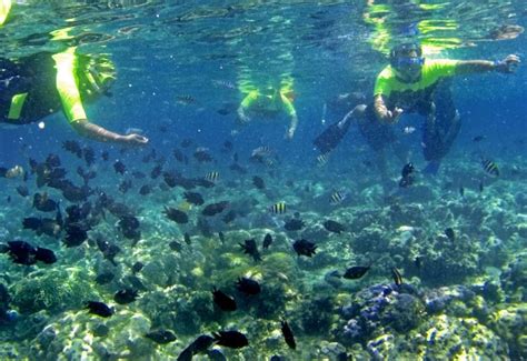 Karena Kotor, Bunaken Tidak Masuk 10 Destinasi Wisata Indonesia | Lifestyle | Arah.Com | Kota