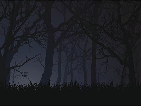 Dark Forest Illustrations Royalty Free Vector Graphics And Clip Art Istock