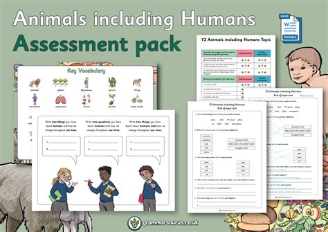 Year 2 Science Animals Including Humans Assessment Pack Grammarsaurus