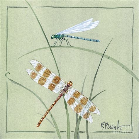 Dragonfly Damselfly Painting By Paul Brent Fine Art America