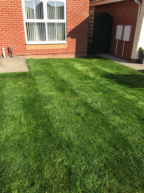 Expert Lawn Care In Teesside Trugreen Professional Lawncare