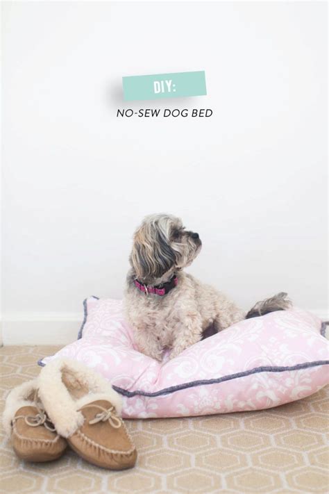 Diy No Sew Dog Bed Diy Pet Bed Diy Dog Bed Diy Stuffed Animals