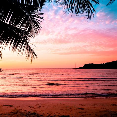 beautiful sunset tropical beach with palm tree and pink sky for travel and vacation in holiday