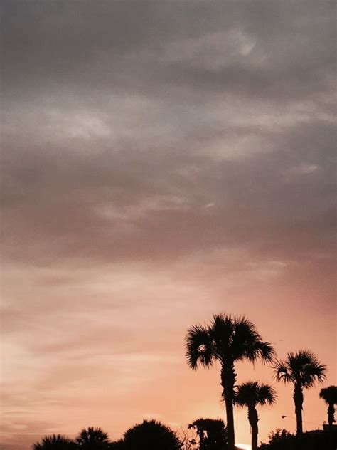 Florida Palm Trees Sunset Beach Pink Vsco Dark
