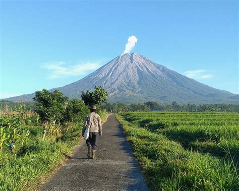 Semeru, a favourite mountain trekking destination. Gunung Semeru, Kagumi Tanpa Mendaki di Oro-oro Ombo