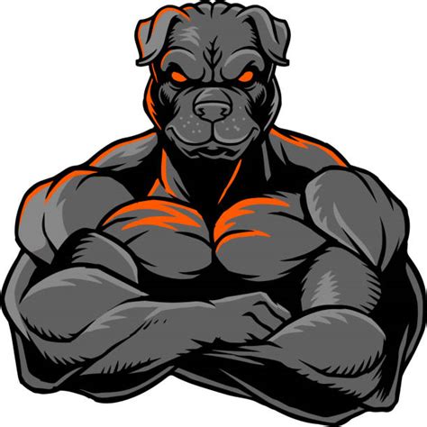 Mean Dogs Pics Illustrations Royalty Free Vector Graphics And Clip Art