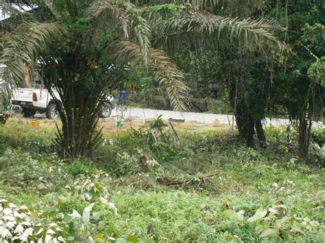 Menurut koentjaraningrat budaya gotong royong yang dikenal oleh masyarakat indonesia dapat dikategorikan ke dalam dua jenis, yakni gotong royong tolong. JAWATANKUASA KEMAJUAN DAN KESELAMATAN KAMPUNG PASIR GAJAH ...