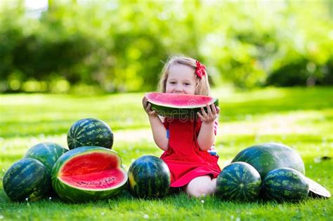 Little Girl Eating Watermelon In The Garden Stock Photo Image Of