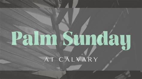 Palm Sunday 2022 John 1212 16 Rejoice Greatly — Calvary Chapel Of