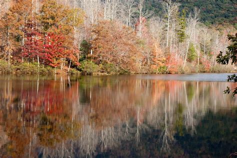 Best Time To See South Carolina Fall Foliage 2024 Roveme