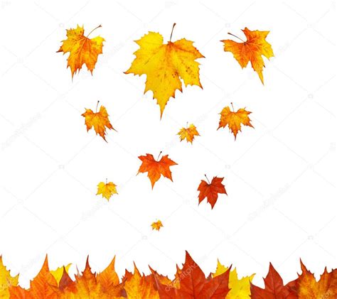 Some Maple Leaves Falling — Stock Photo © Broker 6349163