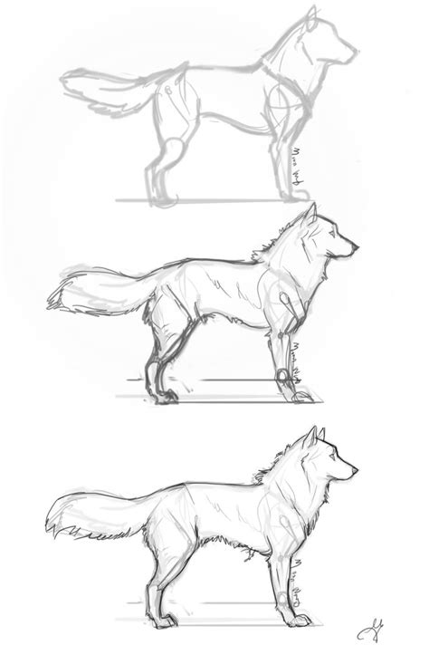 Easy Wolf Head Drawing At Getdrawings Free Download