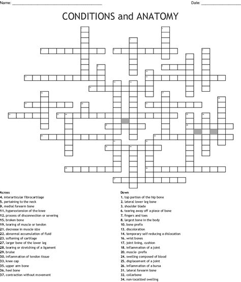 Bone also plays important roles in maintaining mineral homeostasis, as well as providing the environment for hematopoesis in marrow. Bone Anatomy Crossword / Rex Parker Does The Nyt Crossword ...