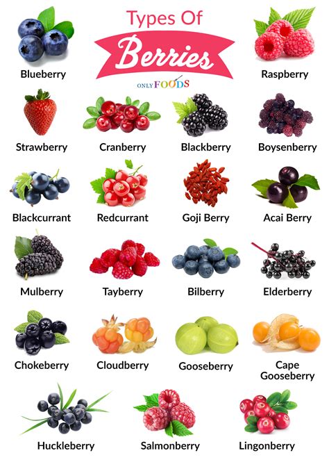 Types Of Berries Tvaneka