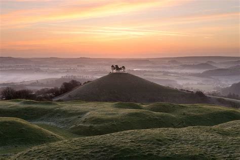 Colmers Hill Dorset At Sunrise On A Misty Early Morning In Early