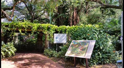 Pinecrest Gardens South Florida Finds