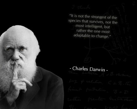 Charles Darwin Wallpapers Wallpaper Cave