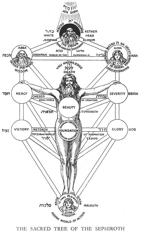 The Sacred Tree Of The Sephiroth Occult Tree Of Life Sacred Geometry