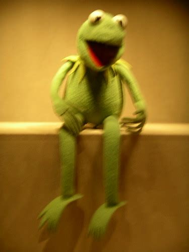 Kermit American History Museum ~ealasaid~ Flickr