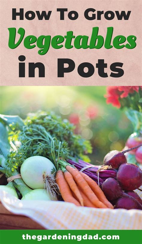 20 Easy Vegetables To Grow In Pots For Beginners Easy Vegetables To