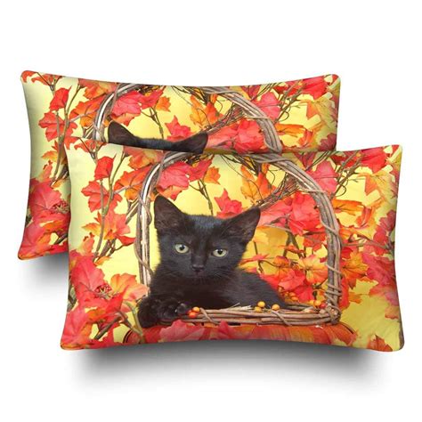 Gckg Black Cat Autumn Leave Pillow Cases Pillowcase 20x30 Inches Set Of