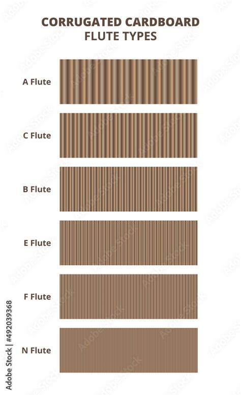Vector Set Of Flute Types Of Corrugated Board Or Cardboard Isolated On White Cardboard Flute