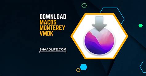 Download Macos Monterey Vmdk File For Vms Direct Links 2024