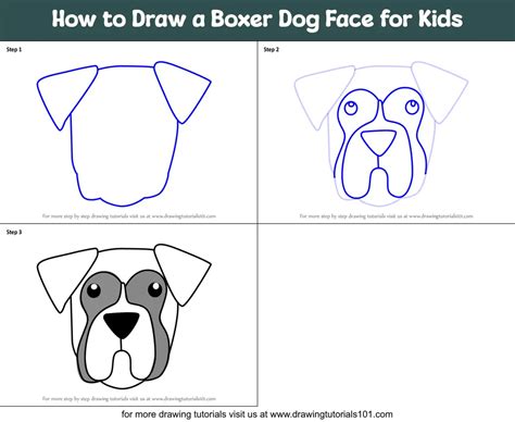 How To Draw A Boxer Dog Face For Kids Printable Step By Step Drawing