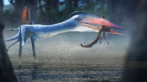 When A Giant Pterosaur Ruled The European Islands Eons