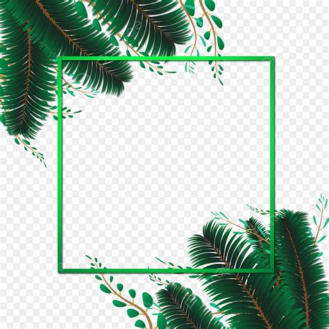 tropical palm leaves vector design images abstract tropical leaves palm trees border frame
