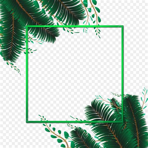 Tropical Palm Leaves Vector Design Images Abstract Tropical Leaves Palm Trees Border Frame