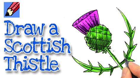How To Draw A Scottish Thistle Real Easy Scottish Thistle Thistle