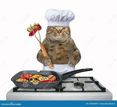Cat Chef Is Frying Vegetables Stock Photo Image Of Frying Humor