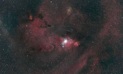 Conefox Fur Nebula Chestwound Astrobin