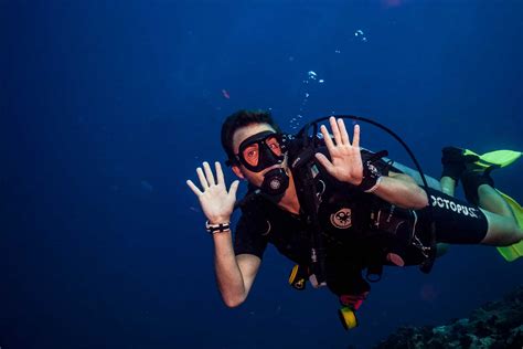 With exclusive deals to all of our destinations, we guarantee you the best diving all around the world. Fun Dives | Scuba Diving in Koh Tao | Roctopus Diving