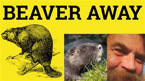 Beaver Away Meaning Beaver Away At Examples Phrasal Verbs Esl
