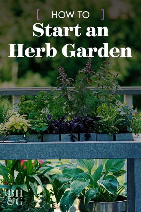Start Here If Youre Looking To Plant An Herb Garden Growing Herbs