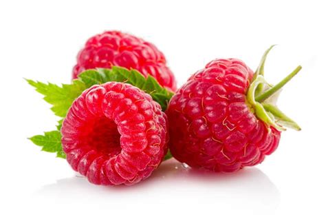 Best 6 Hydroponic Fruits Hydroponicfarmtips Farming Of The Future