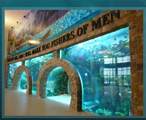 Reality Show ‘tanked Boosts Aquarium Sales — Photos Las Vegas Review Journal