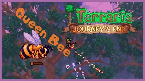 Terraria Queen Bee Youtube