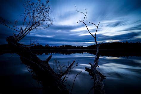 Download 480x854 Lake Dark Night Reflection Trees Wallpapers For