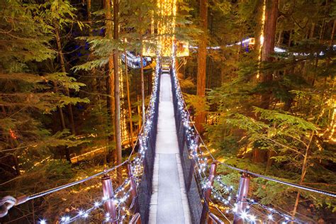 Canyon Lights Returns To Capilano Suspension Bridge Park Vancouverscape