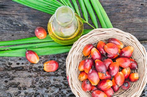 But these are not the only substances contained in the product. Palm Oil | Nutrient Composition, Health Benefits ...