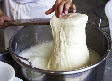 Worker From Cheese Factory Producing Mozzarella Stock Image Image Of