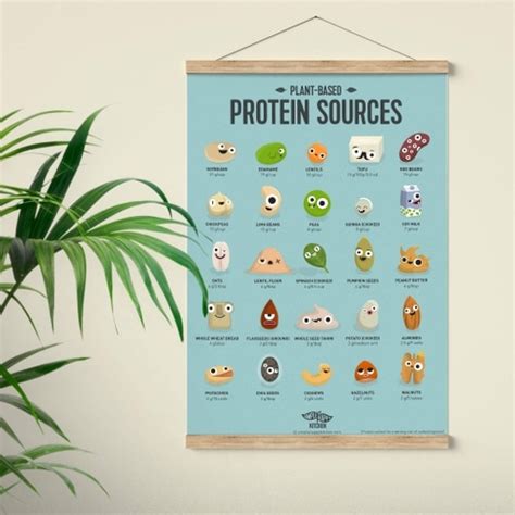Food Poster Vegan Protein Sources Plant Based Protein