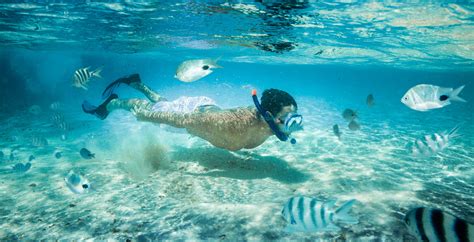 Worlds Best Places To Go Snorkelling Club Med