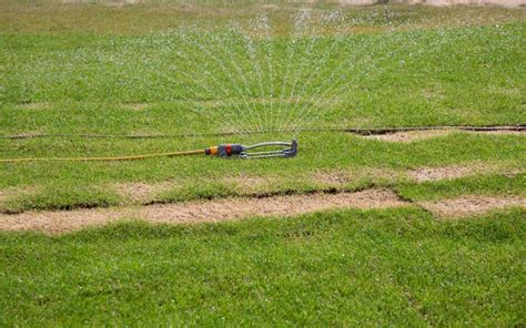Astro turfs are designed to be resilient and durable in any weather condition; How Long to Water Your Lawn with Oscillating Sprinklers - Garden Tabs