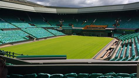 The sight of courts covered in luscious, green grass and fans watching as they savor strawberries and cream can only mean one thing: Wimbledon 2021- time for tennis o el tenis en inglés ...