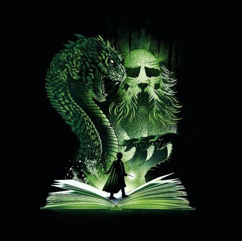 Harry Potter And The Chamber Of Secrets Harry Potter Books Series Arte Do Harry Potter Harry